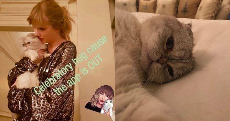 Instagram.com/taylorswift